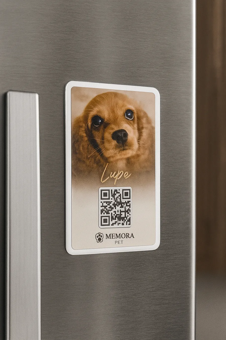 Lámina imantada con su foto y el QR en la nevera