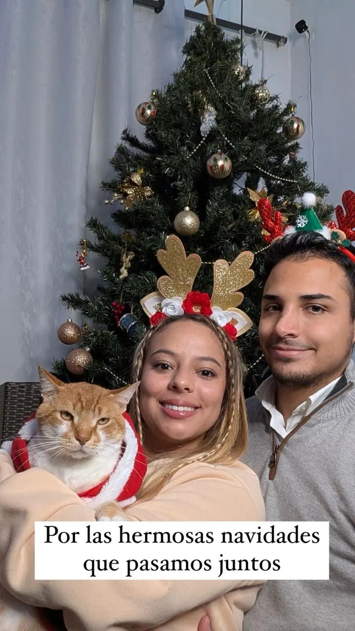Sparky con cuernitos de navidad, con la familia, frente al árbol