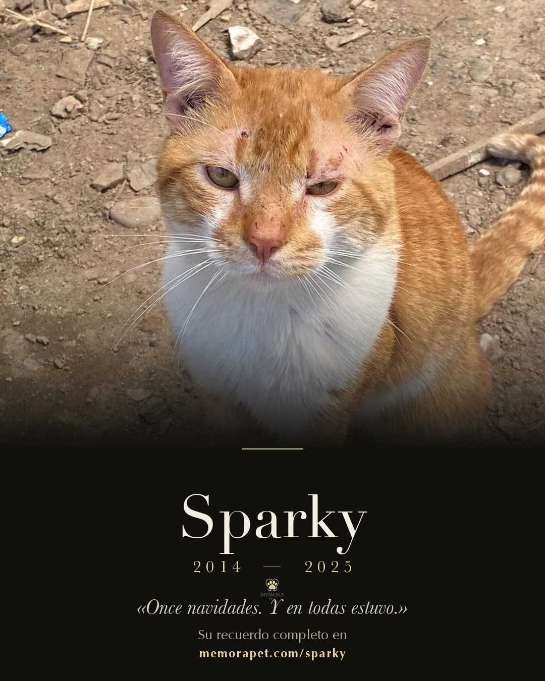 Tarjeta para compartir el recuerdo de Sparky